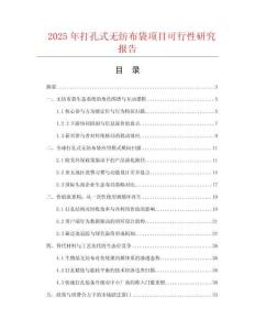 2025年打孔式無紡布袋項目可行性研究報告