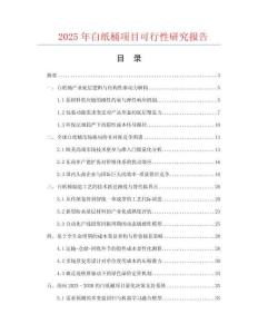 2025年白紙桶項(xiàng)目可行性研究報(bào)告