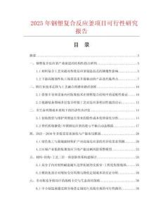 2025年鋼塑復(fù)合反應(yīng)釜項目可行性研究報告