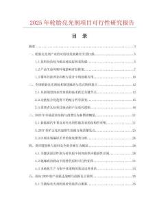 2025年輪胎亮光劑項目可行性研究報告