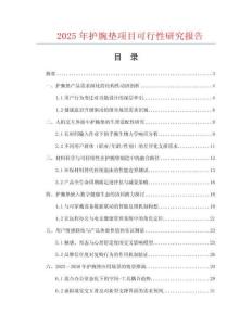 2025年護(hù)腕墊項(xiàng)目可行性研究報(bào)告
