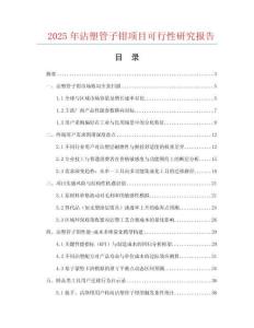 2025年沾塑管子鉗項目可行性研究報告