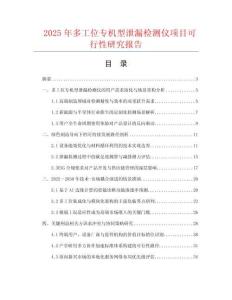 2025年多工位專機型泄漏檢測儀項目可行性研究報告