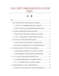 2025年燃氣節能熱風機組項目可行性研究報告