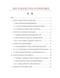2025年雙孔端子項目可行性研究報告
