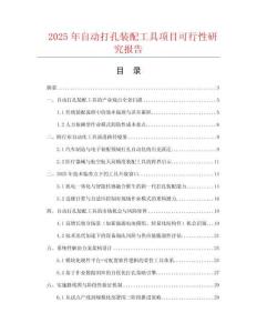 2025年自動打孔裝配工具項目可行性研究報告