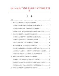 2025年船廠系統(tǒng)集成項目可行性研究報告