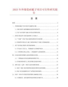 2025年外墻瓷磚膩子項目可行性研究報告