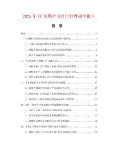 2025年VC泡騰片項目可行性研究報告
