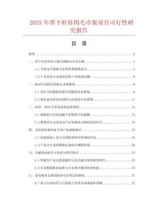 2025年帶下桿掛鉤毛巾架項目可行性研究報告