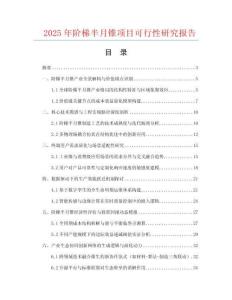 2025年階梯半月錐項目可行性研究報告