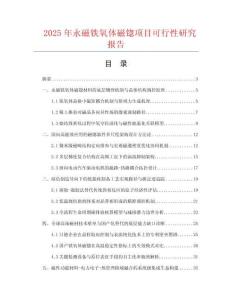 2025年永磁鐵氧體磁锪項目可行性研究報告