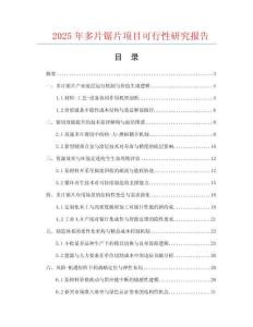 2025年多片鋸片項目可行性研究報告