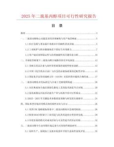 2025年二巰基丙醇項目可行性研究報告