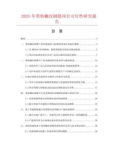 2025年帶肋螺紋鋼筋項目可行性研究報告