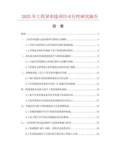 2025年工程異形毯項目可行性研究報告