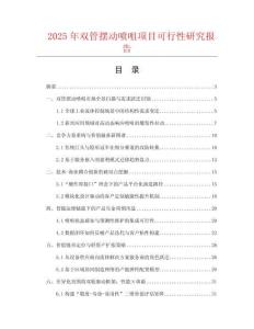 2025年雙管擺動(dòng)噴咀項(xiàng)目可行性研究報(bào)告