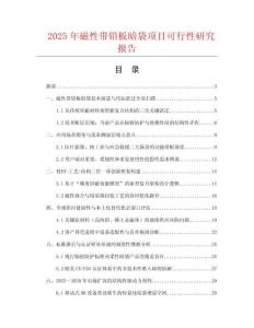 2025年磁性帶鉛板暗袋項目可行性研究報告