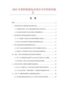 2025年程控集團電話項目可行性研究報告