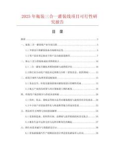 2025年瓶裝三合一灌裝線項目可行性研究報告