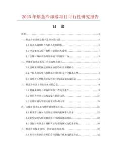 2025年熔鹽冷卻器項(xiàng)目可行性研究報(bào)告