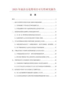 2025年流沙萬花筒項目可行性研究報告