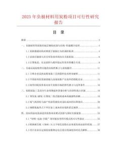 2025年負極材料用炭粉項目可行性研究報告