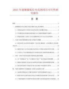 2025年滾鍍鎳低位光亮劑項(xiàng)目可行性研究報(bào)告