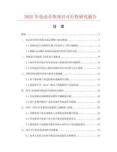 2025年電動章魚項目可行性研究報告