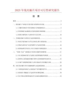 2025年線夾觸片項目可行性研究報告