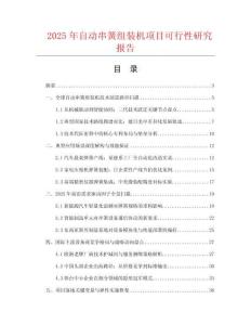 2025年自動串簧組裝機項目可行性研究報告