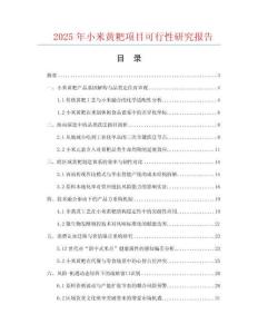 2025年小米黃粑項目可行性研究報告