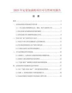2025年定量加油機項目可行性研究報告