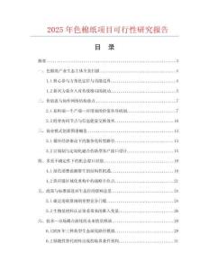 2025年色棉紙項目可行性研究報告