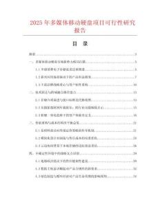 2025年多媒體移動(dòng)硬盤(pán)項(xiàng)目可行性研究報(bào)告