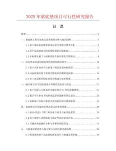 2025年梁底墊項(xiàng)目可行性研究報(bào)告