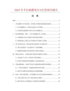 2025年手打柄鑊項目可行性研究報告