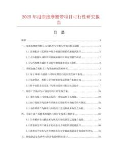 2025年甩脂按摩腰帶項目可行性研究報告