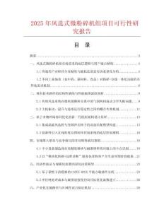 2025年風選式微粉碎機組項目可行性研究報告
