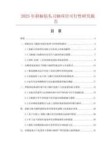 2025年斜柄鉆頭刀柄項目可行性研究報告