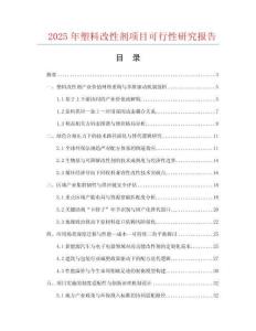 2025年塑料改性劑項目可行性研究報告