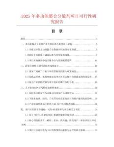2025年多功能螯合分散劑項目可行性研究報告