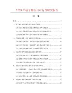 2025年桔子瓣項目可行性研究報告