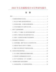 2025年長青藤椅項目可行性研究報告