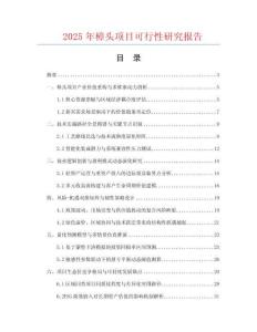 2025年樟頭項目可行性研究報告