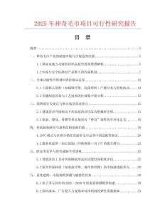 2025年神奇毛巾項目可行性研究報告