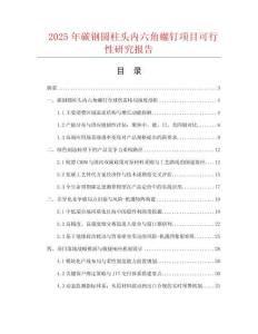 2025年碳鋼圓柱頭內(nèi)六角螺釘項(xiàng)目可行性研究報(bào)告