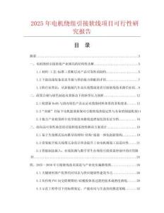 2025年電機繞組引接軟線項目可行性研究報告