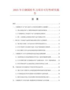 2025年白鋼圓柱車刀項目可行性研究報告