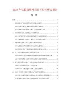 2025年鈦鎳隔膜網(wǎng)項目可行性研究報告
